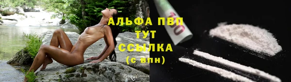 PSILOCYBIN Богородицк
