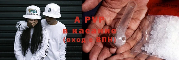 прущие грибы Белоозёрский