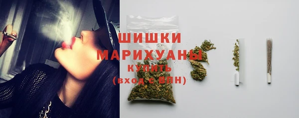 спайс Богданович