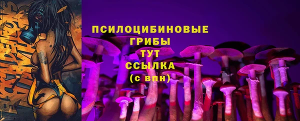 PSILOCYBIN Богородицк